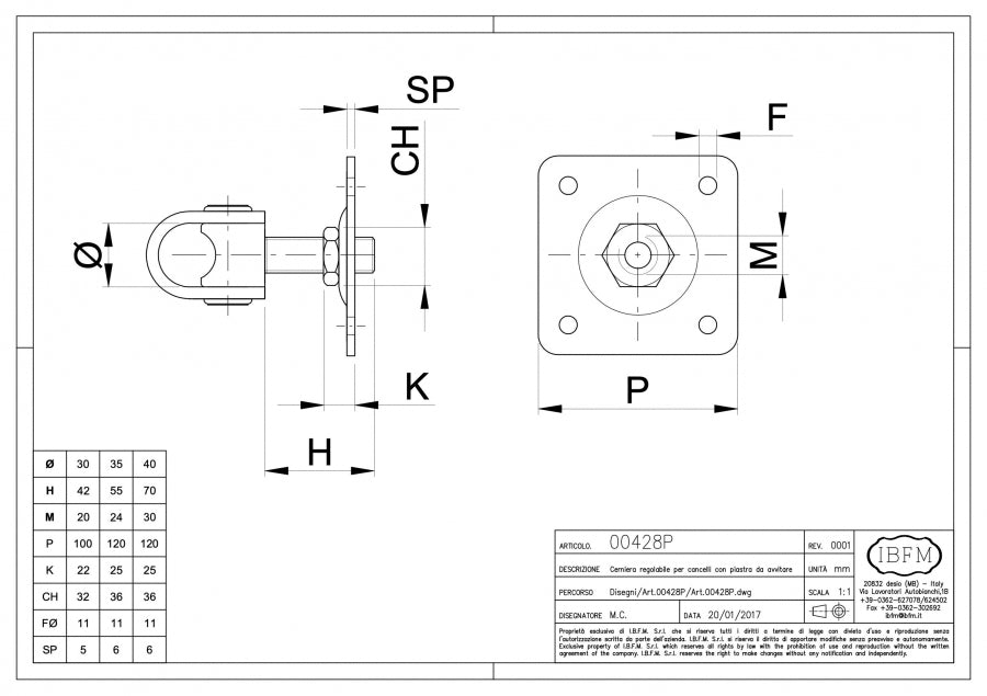 Cerniera Regolabile per Cancello con Piastra - disegno tecnico