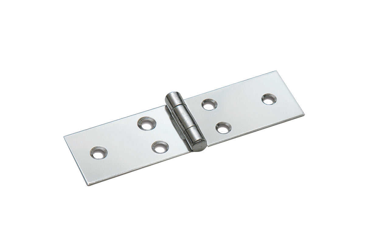 Cerniera lunga in Acciaio Inox con perno fisso