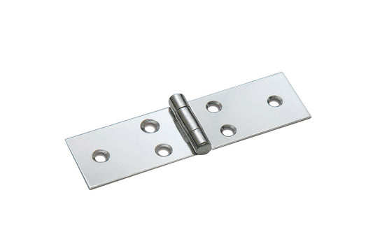 Cerniera lunga in Acciaio Inox con perno fisso